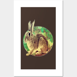 Easter Bunny Posters and Art